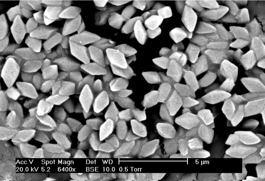 Scanning electron microscope image of diamond-shaped Bt crystalline inclusions clustered together. 